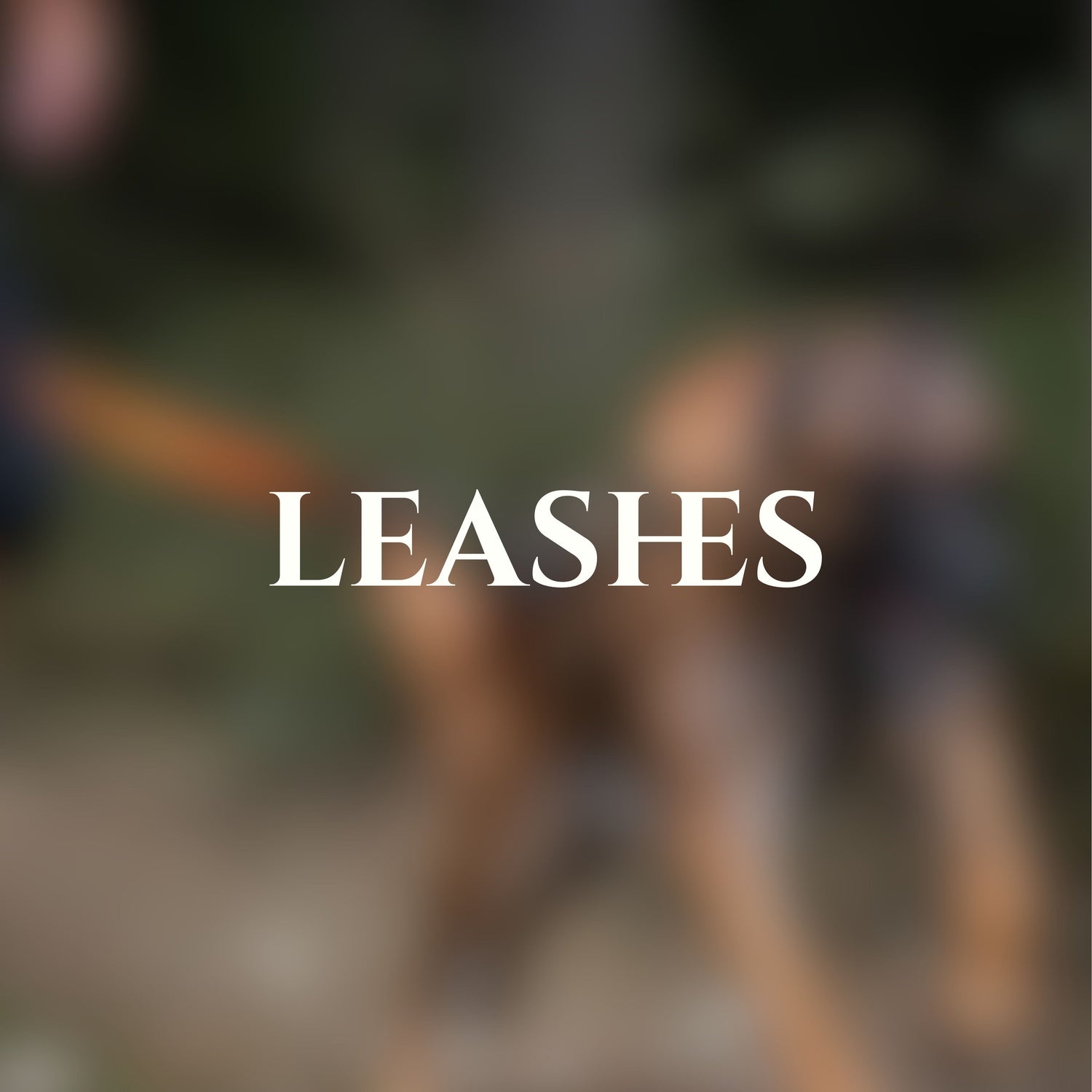 Leashes
