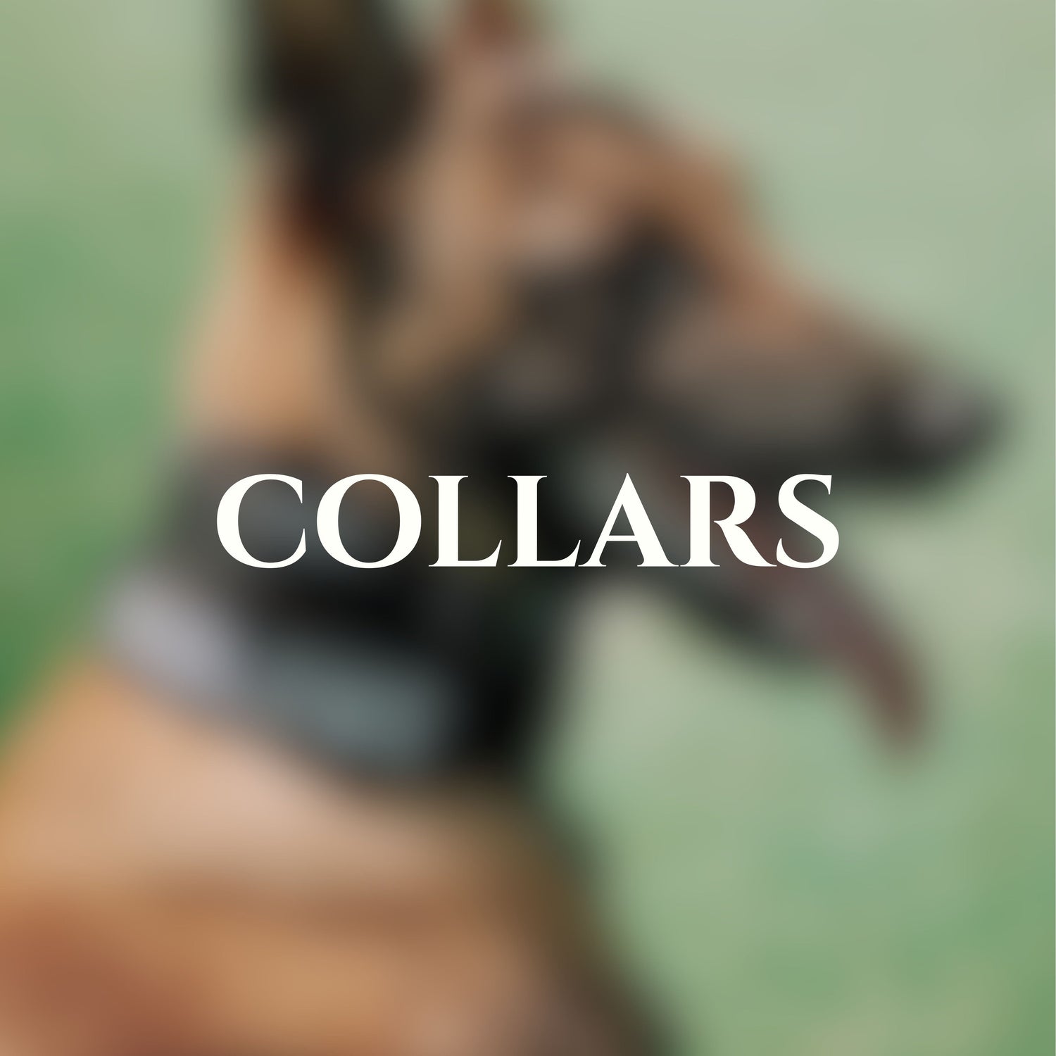 Collars